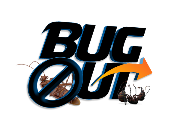 shopbugout